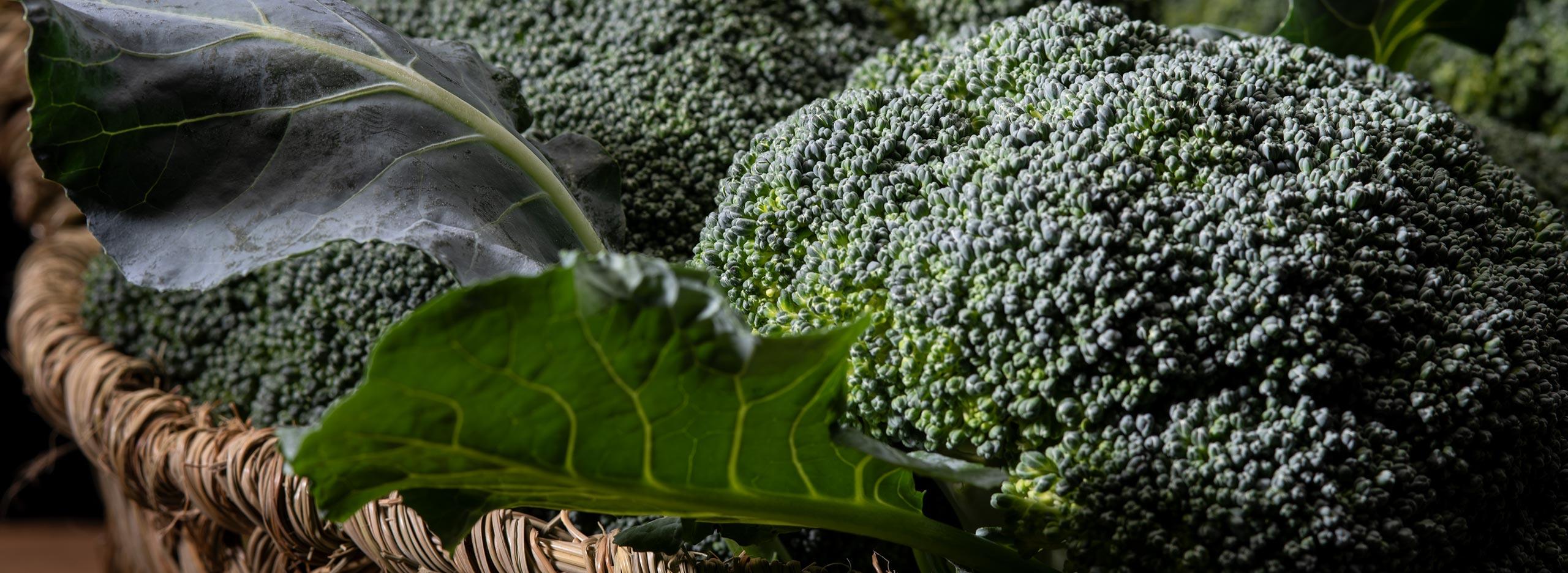 Raw Food Broccoli